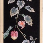 花鳥画