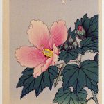花鳥画