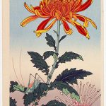 花鳥画