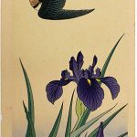 花鳥画