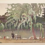 猿沢池畔の柳