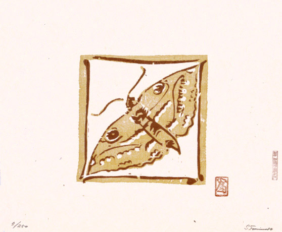 山蛾