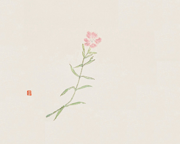 撫子