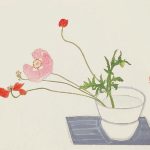 虞美人草