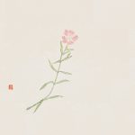 撫子